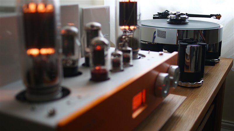 Line Magnetic and Avid