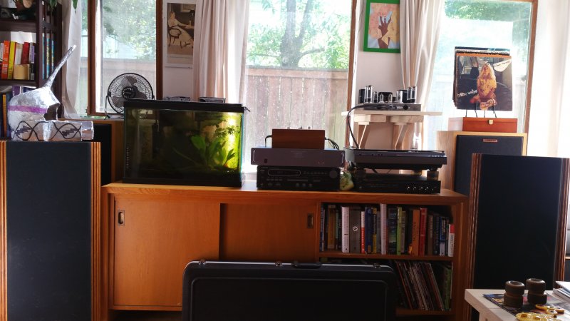 Living room 6_22_17