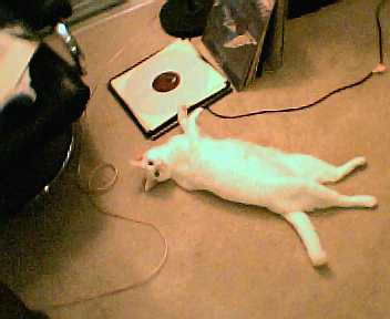 LP selector