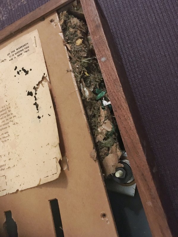 Mouse Nest AR XA