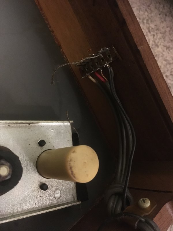 Mouse Nest AR XA