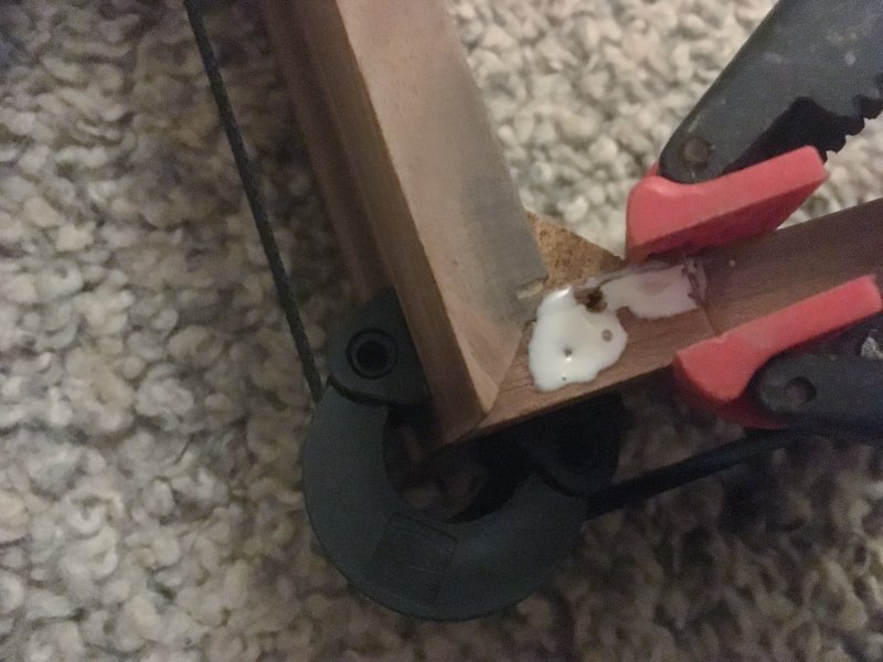 Mouse Nest AR XA
