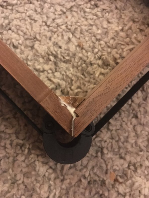 Mouse Nest AR XA