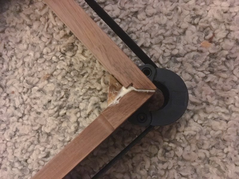 Mouse Nest AR XA