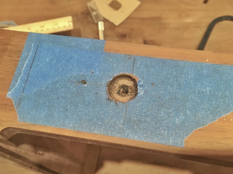 Mouse Nest AR XA