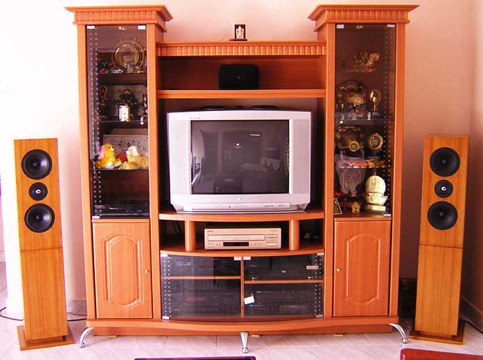 My first MTM Speakers