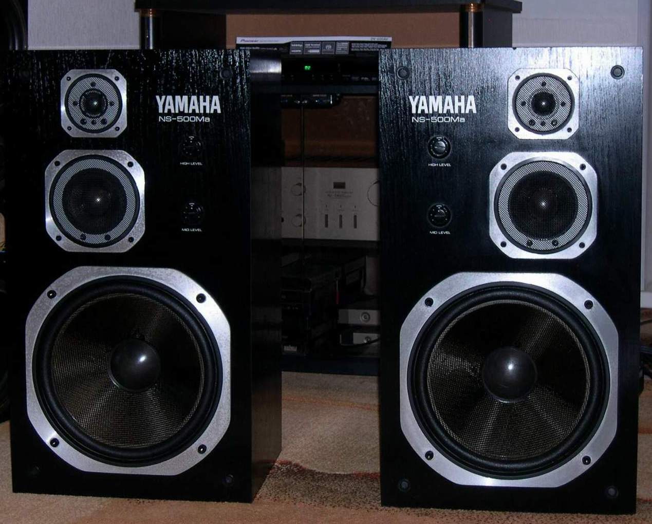 NS-500Ma