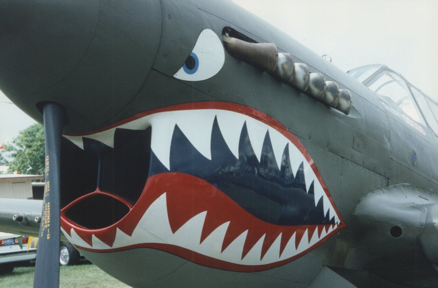 P-40