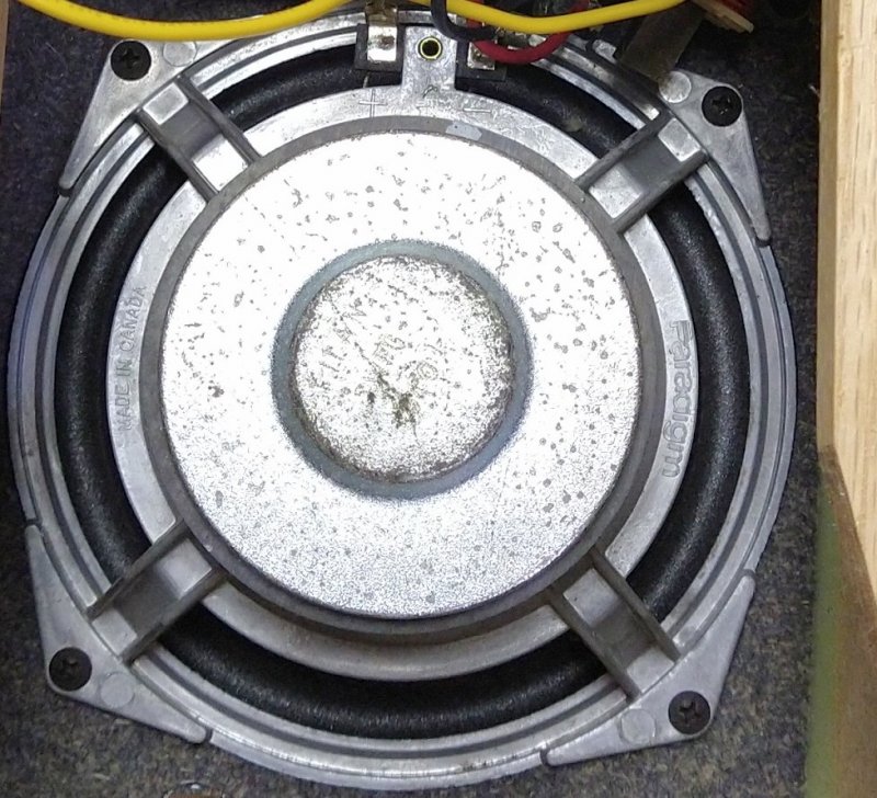 Paradigm Titan woofer