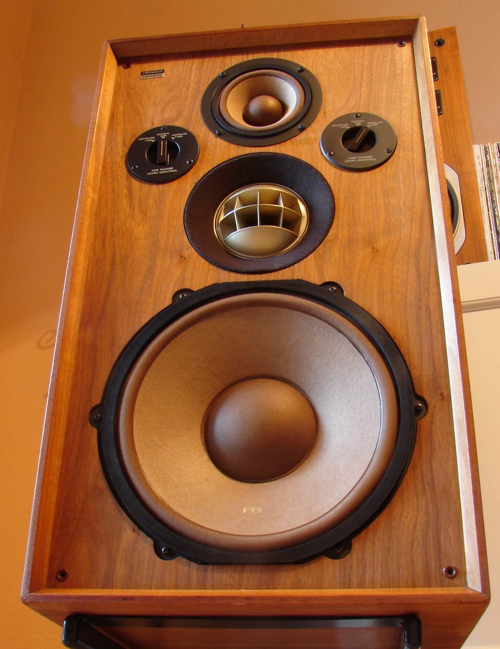 Pioneer CS-E900