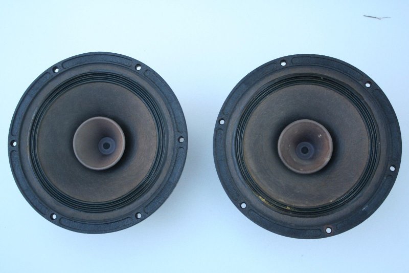 S-l1600 (1)