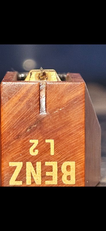 Screenshot_20250212_190656_Gallery.jpg