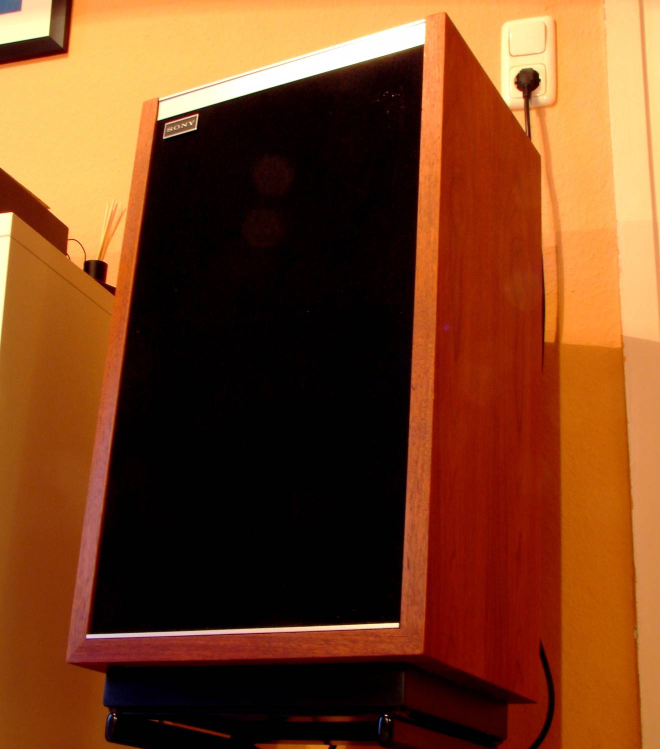 Sony SS-3100