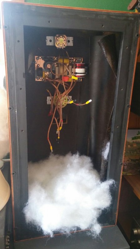 Speaker Insides