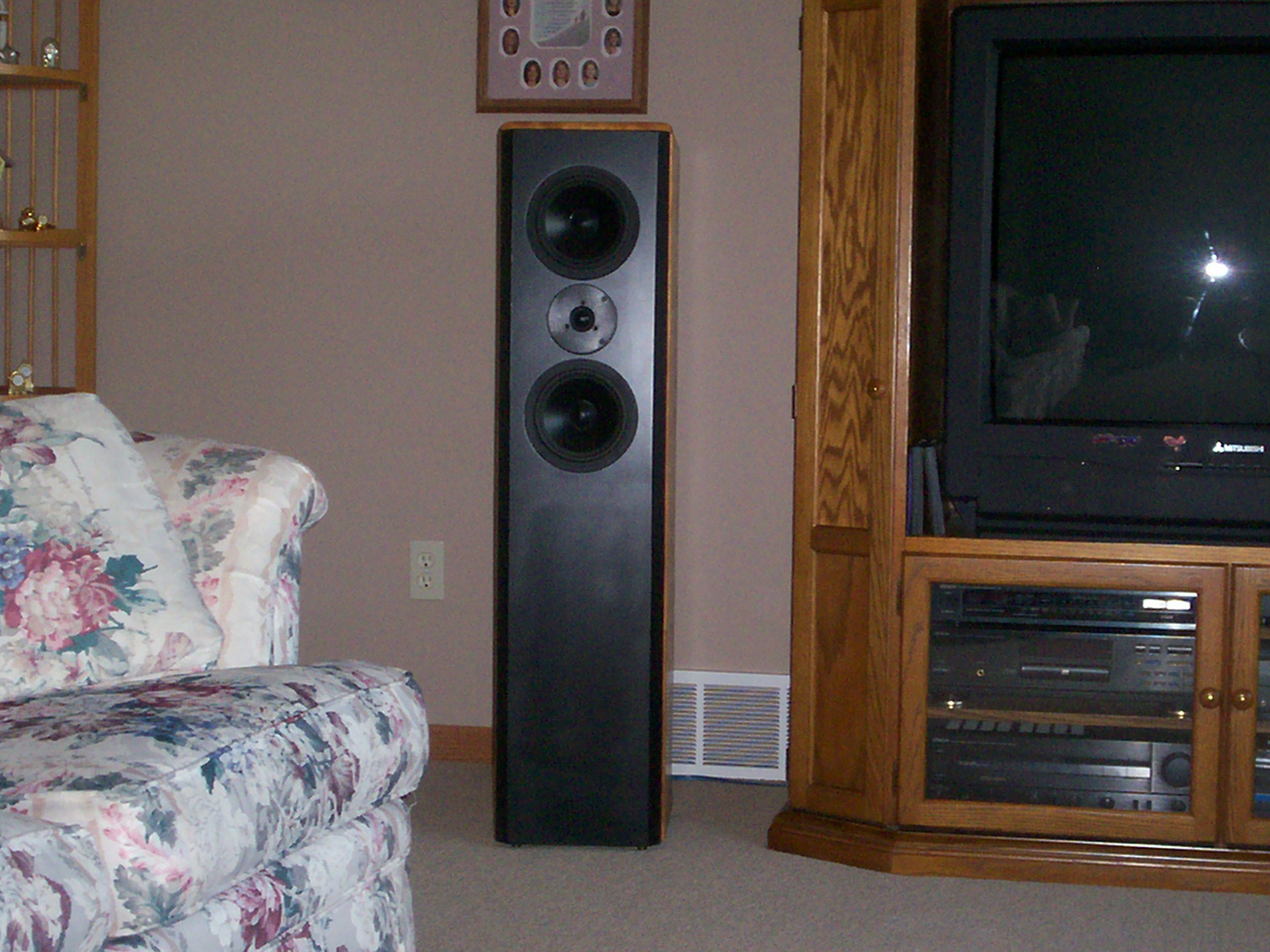 Speakers I built
