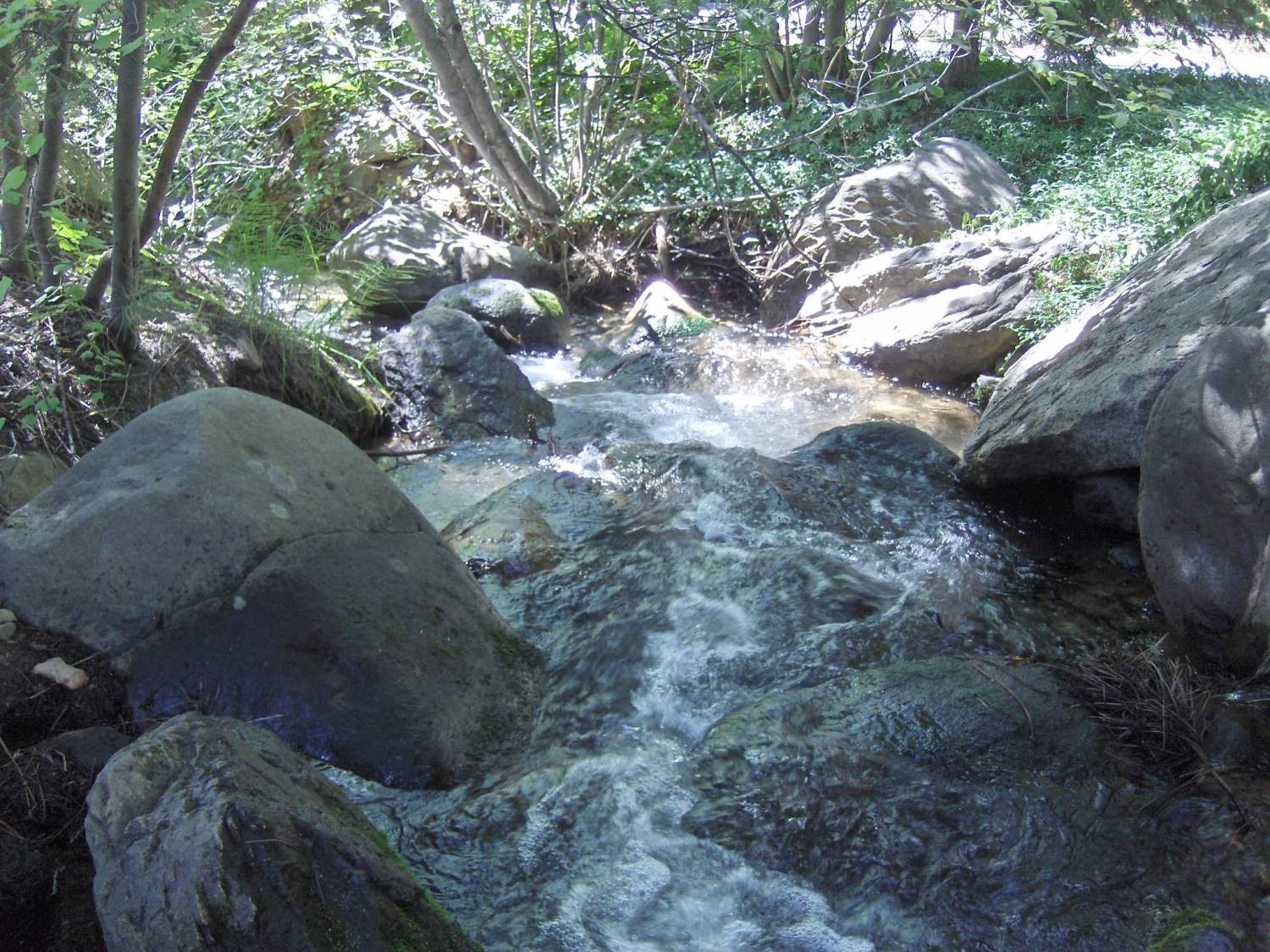 Stream running alongside West Edge of Property