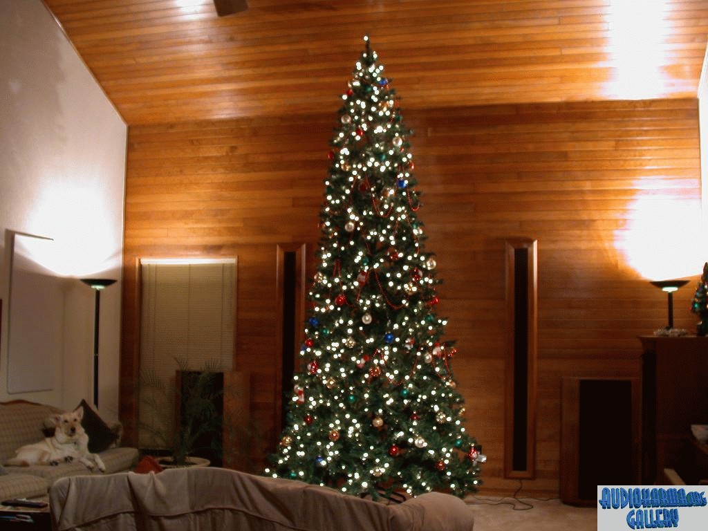 the tree top