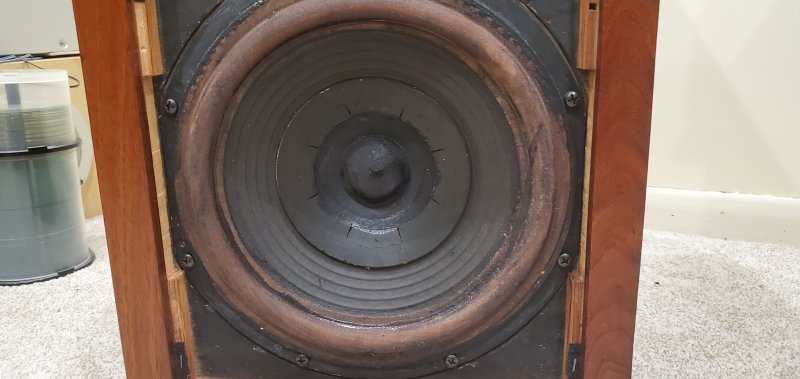 woofer.jpg