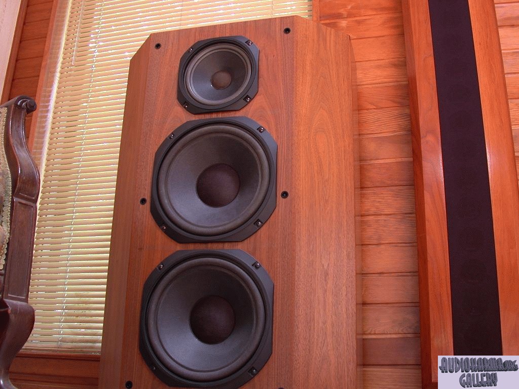 XRT22 bass cabinet